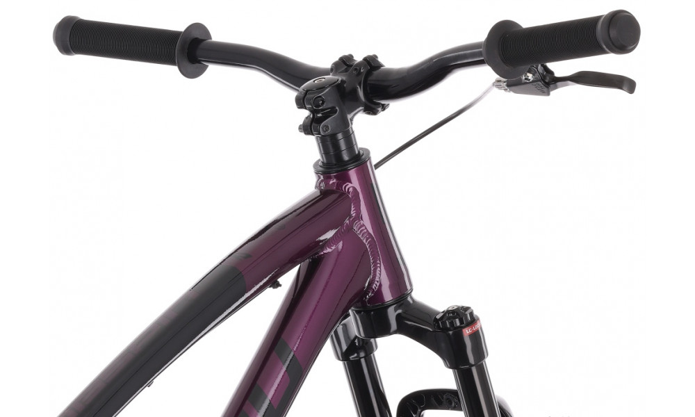 Velosipēds Tabou Tabspin JR 24 purple-black - 8