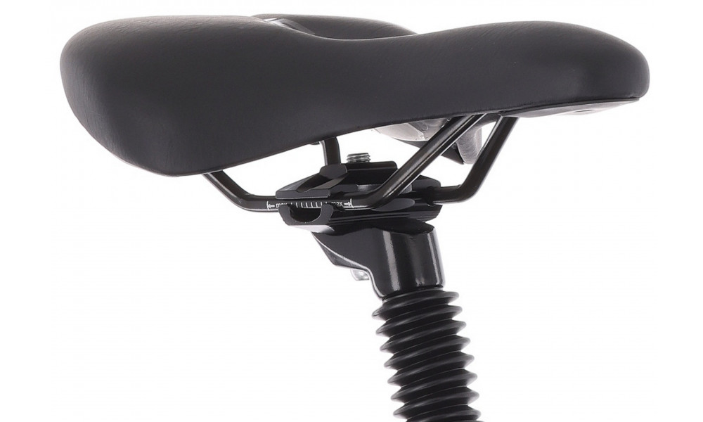 Velosipēds Tabou Flow 1 21 black-chameleon - 5