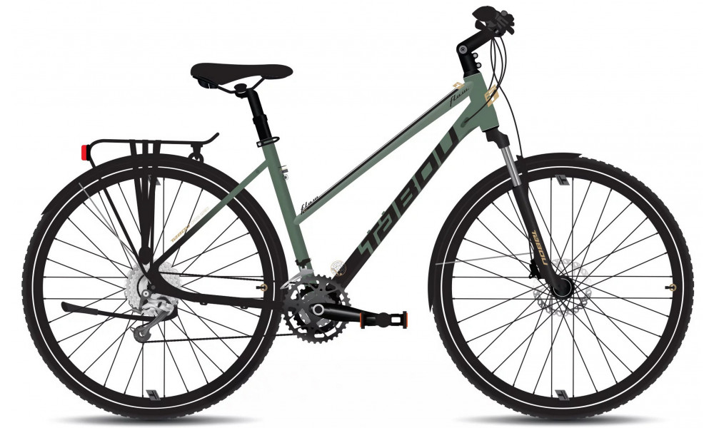 Velosipēds Tabou Flow 4 EQ W 19 black-green 
