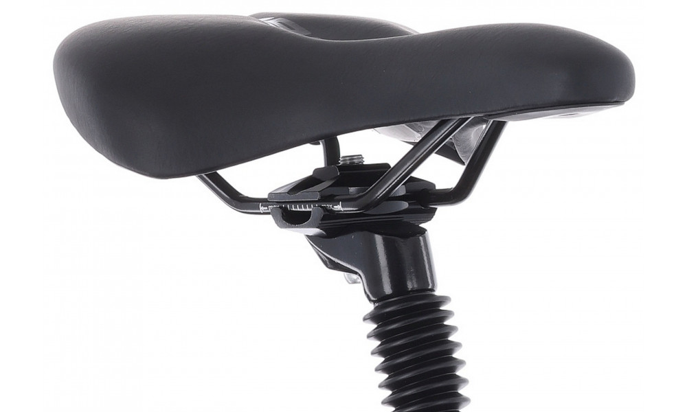 Velosipēds Tabou Flow 2 EQ W 21 black-grey - 5