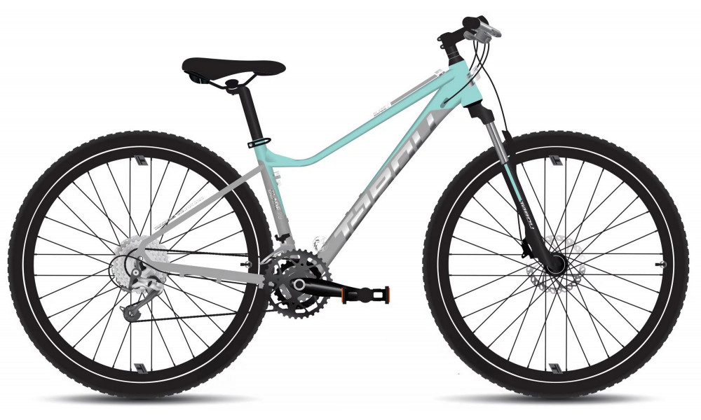 Velosipēds Tabou Blade 29 2 W grey-mint 