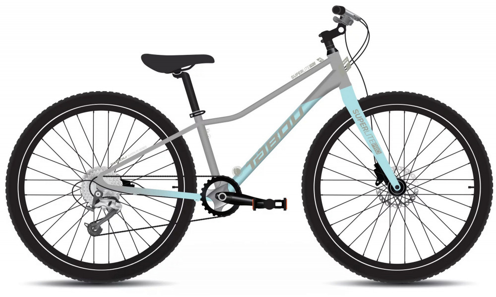 Velosipēds Tabou Superlite Pro 26 W grey-mint 