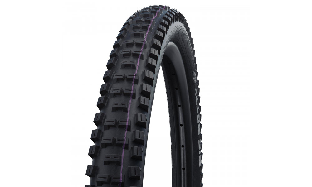 Riepa 29" Schwalbe Big Betty HS 608 Evo Fold TLE 62-622 / 29x2.40 SD Addix Ultra Soft 