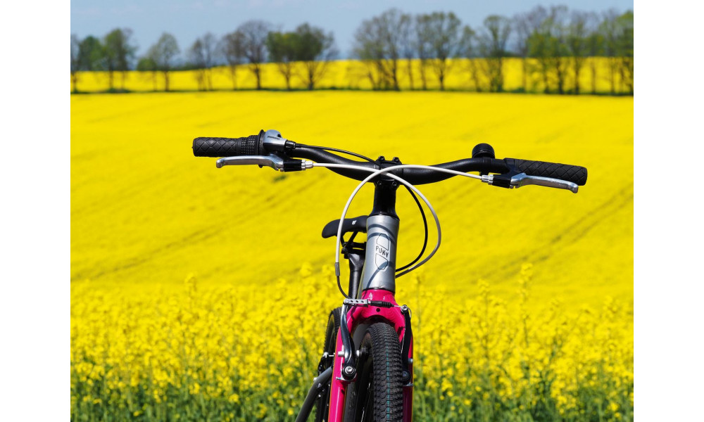 Velosipēds PUKY LS-PRO 24-8 Alu silver/berry - 5