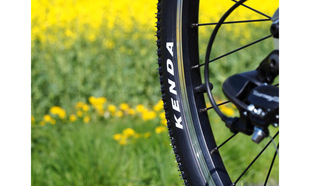 Velosipēds PUKY LS-PRO 24-8 Alu silver/berry - 9