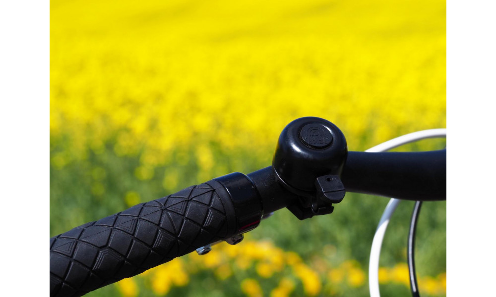 Velosipēds PUKY LS-PRO 24-8 Alu silver/berry - 22