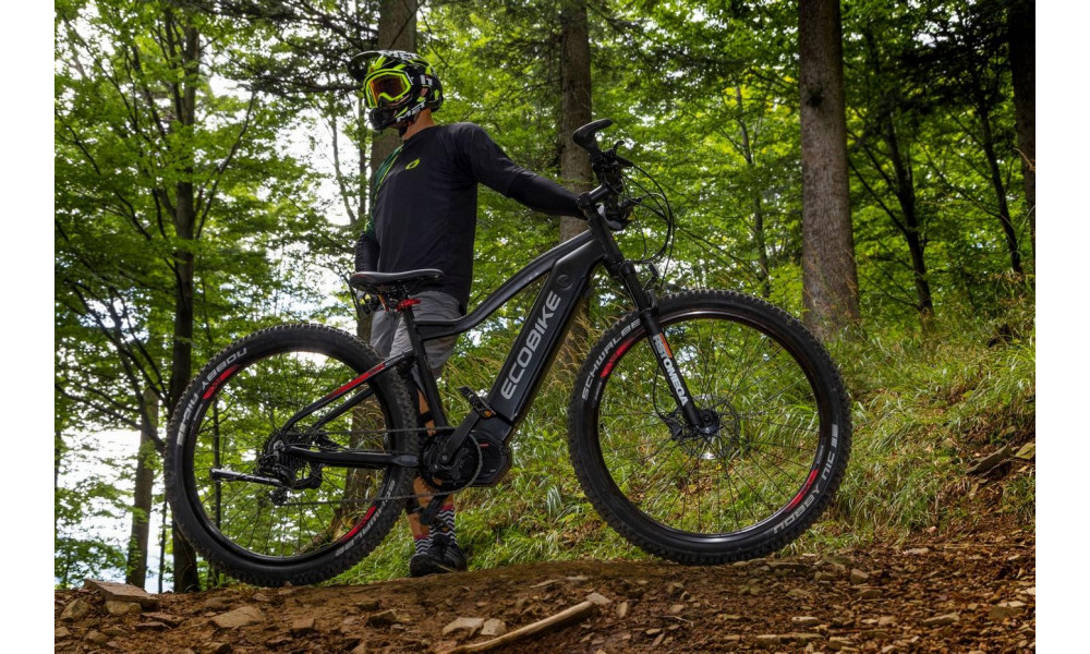 Elektro velosipēds Ecobike RX 500 29" 48V - 4