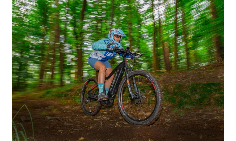 Elektro velosipēds Ecobike RX 500 29" 48V - 8