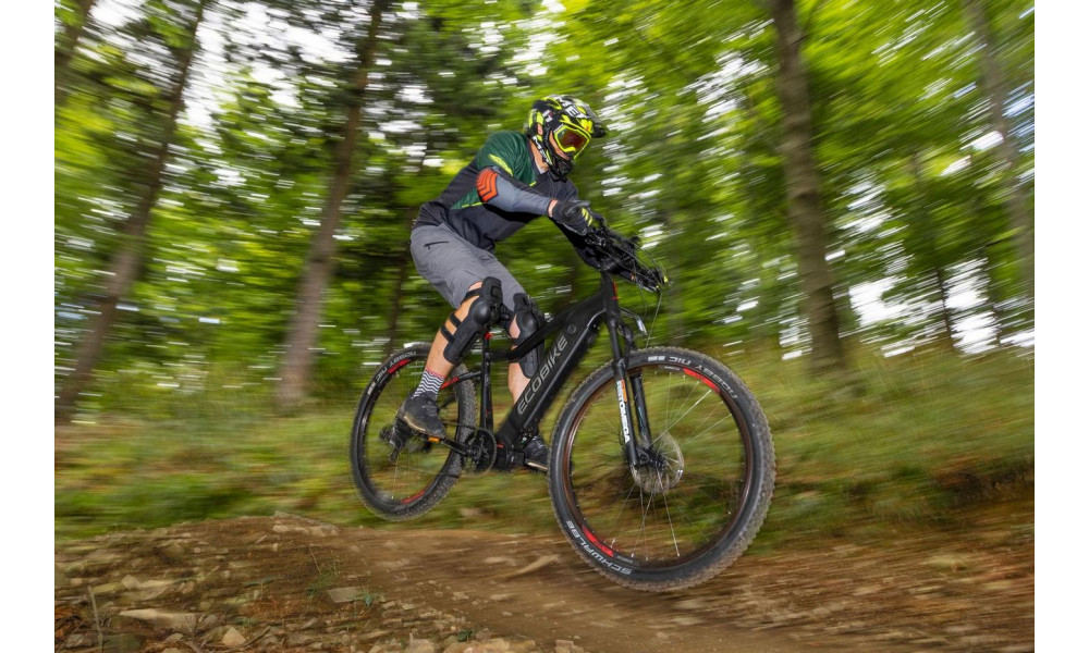 Elektro velosipēds Ecobike RX 500 29" 48V - 11