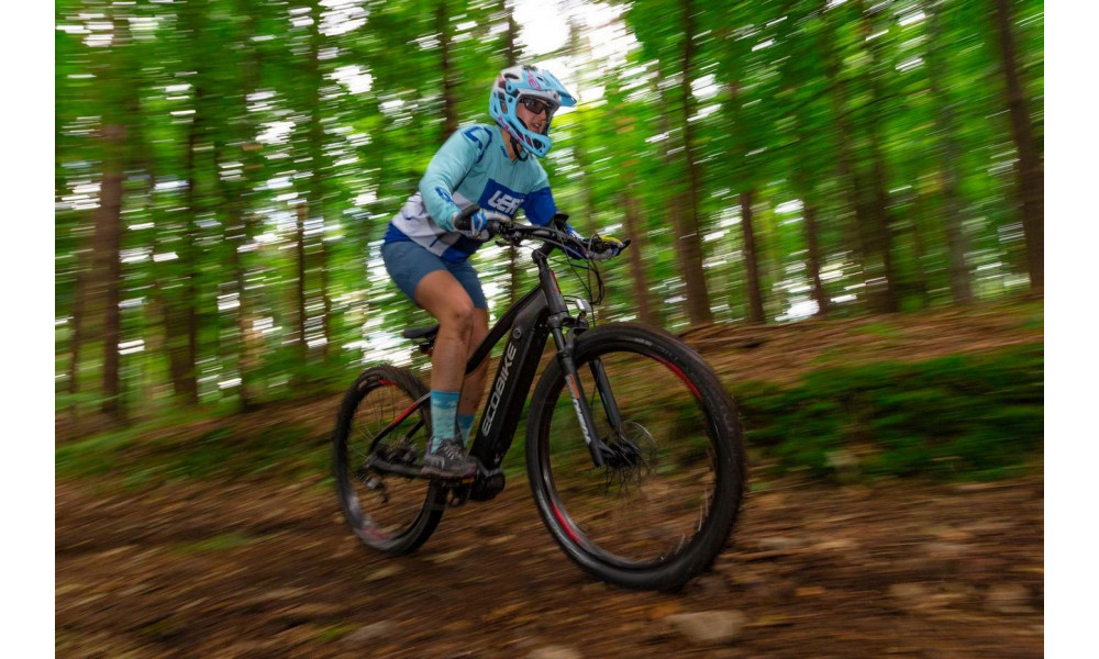 Elektro velosipēds Ecobike RX 500 29" 48V - 13