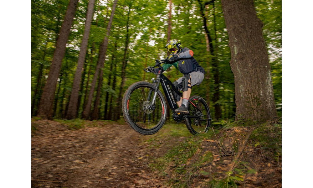 Elektro velosipēds Ecobike RX 500 29" 48V - 15