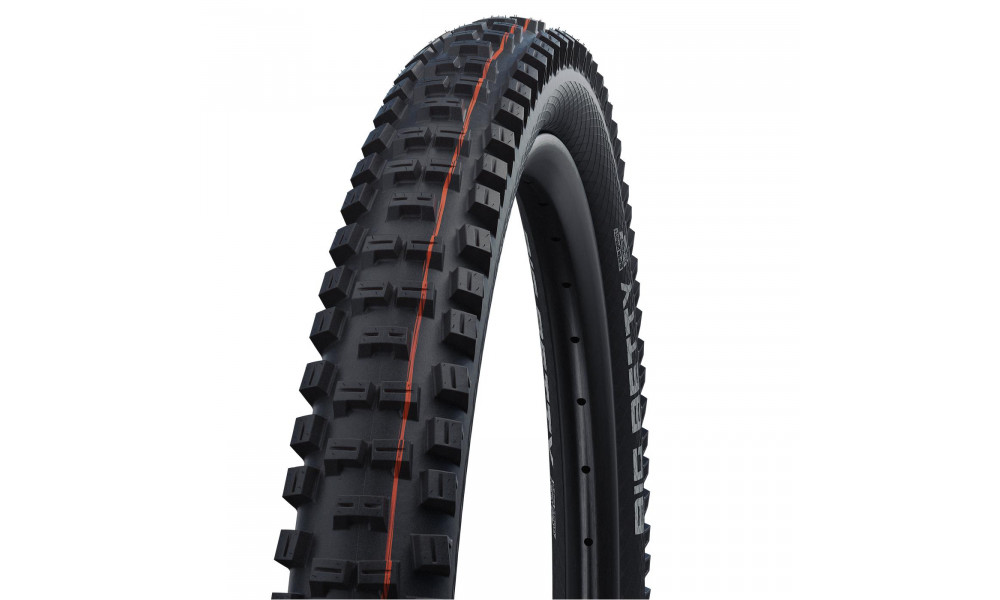 Riepa 20" Schwalbe Big Betty HS 608 Evo Fold TLE 57-406 / 20x2.25 Super Ground Addix Soft - 1
