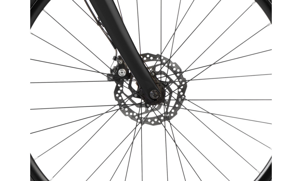 Velosipēds Romet Aspre 1 2023 black-gold - 5