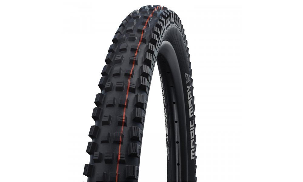 Riepa 29" Schwalbe Magic Mary HS 447 Evo Fold TLE 62-622 / 29x2.40 Gravity Addix Soft 