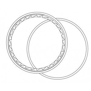 Aizmugurējā rumba rezerves daļa Fulcrum ratchet ring MTB (3 gab.)